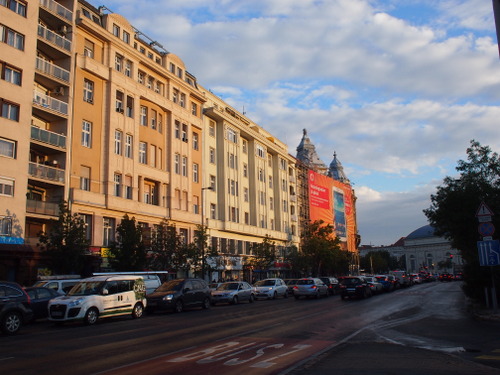 P9264979.JPG