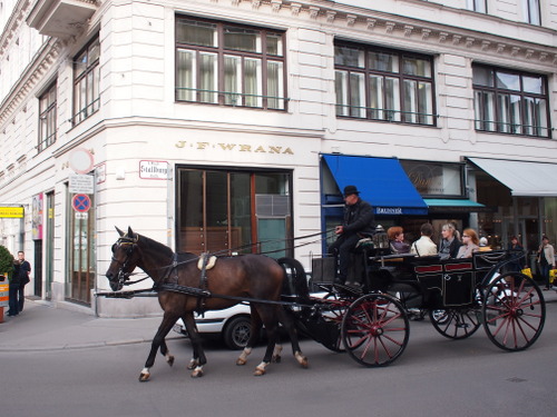 P9275141.JPG