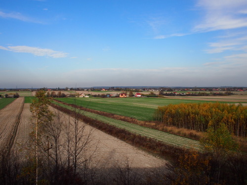 PA279035.JPG