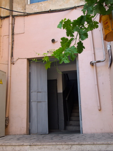 P8030505.JPG