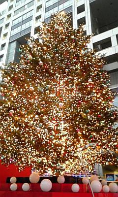 20061213_311449.jpg