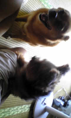 えむらば リ あ る