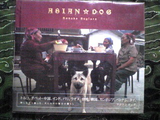 ASIAN DOG
