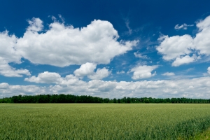 夏