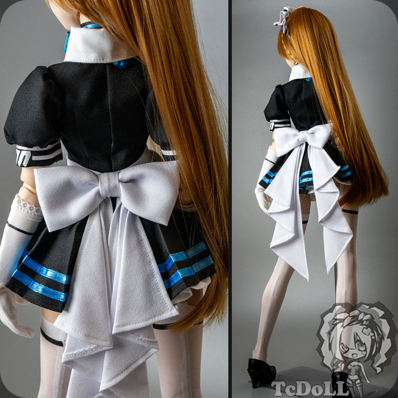 ワンダーフェスティバル2023夏 | TcDoLL blog