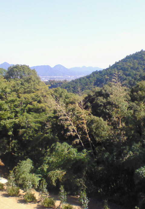 200711071143000.jpg