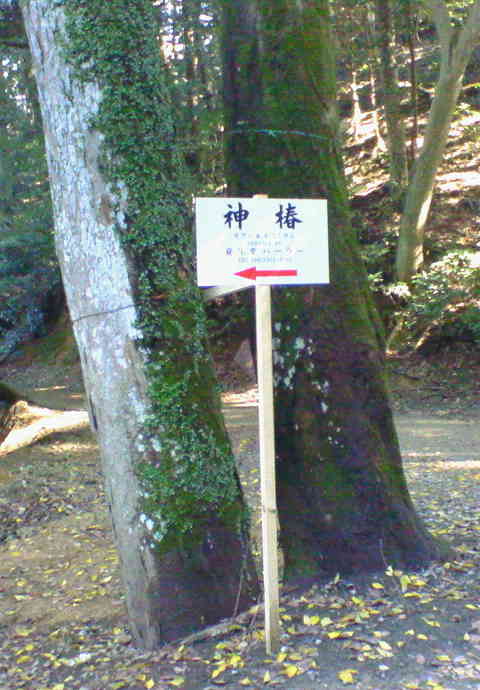 200711071113000.jpg