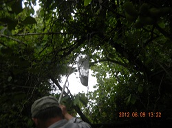 DSCN0018250.jpg