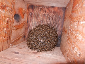 DSCN0101300.jpg