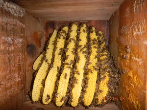 DSCN0141300.jpg