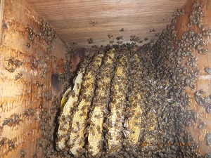 DSCF1193300.jpg