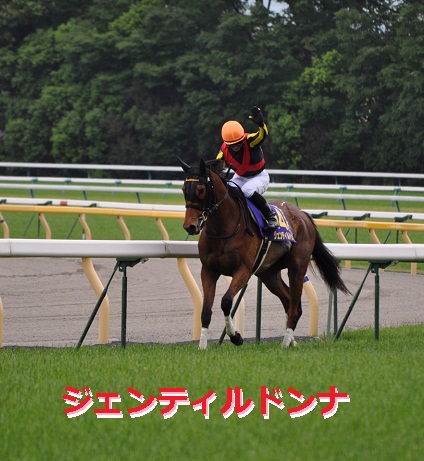 希少非売品ジェンティルドンナ 第33回ジャパンカップゴール/34回JRA