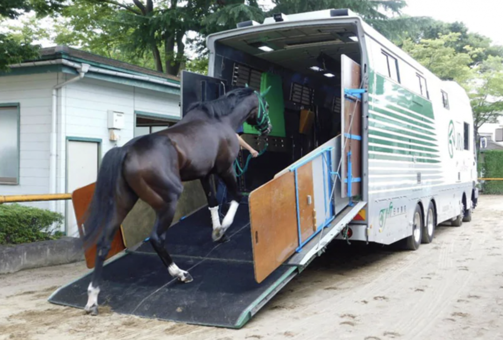 馬・競馬の基礎＆古知識 ～日本編～ | うみねこ博物館