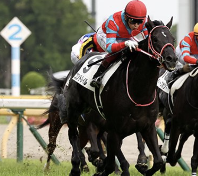 3冠馬　コントレイル&デアリングタクト ジャパンC】コントレイルVSデアリングタクト！史上初の無敗三