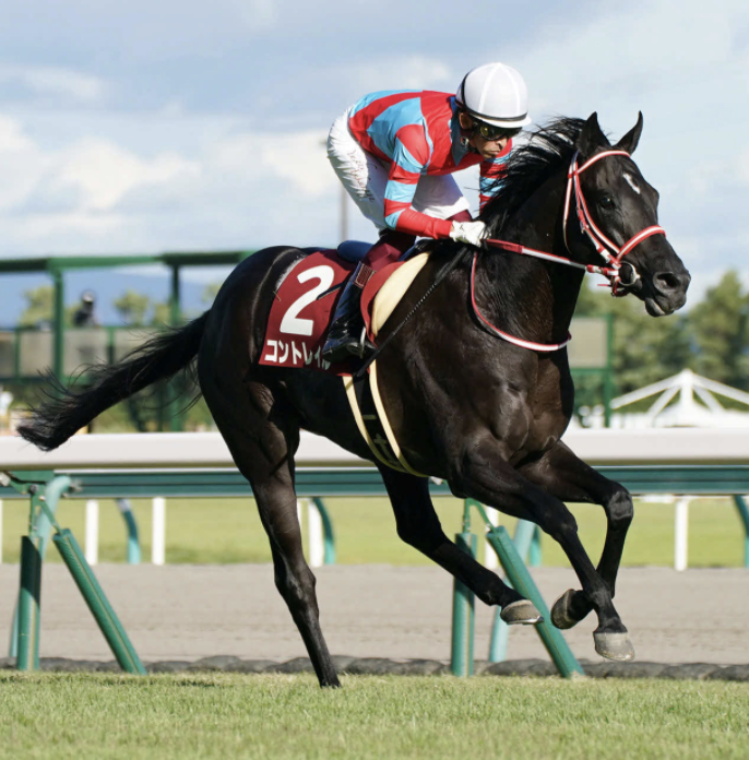 第81回 菊花賞【コントレイル史上三頭目の無敗三冠・全世界競馬史上初