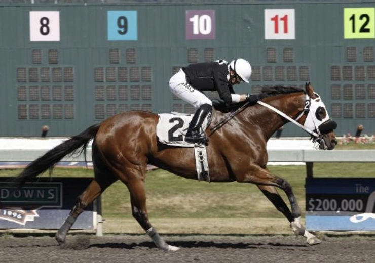 馬・競馬にまつわる記録集 | うみねこ博物館