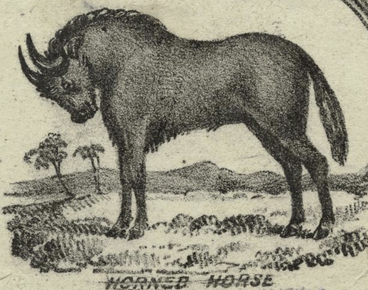 Chase the Horned horse 〜幻の一角獣を追いかけて〜 | うみねこ Chase the Horned horse 〜幻の一角獣を追いかけて〜 | うみねこ