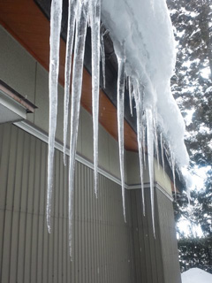 DSC_8202-web.jpg