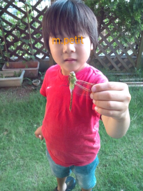 20130728222035.jpeg