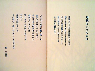 リリーフランキー原作　映画「東京タワー」台本　決定稿　大泉洋　田中裕子　樹木希林 リリーフランキー原作 映画「東京タワー」台本 決定稿 大泉洋 田中裕子