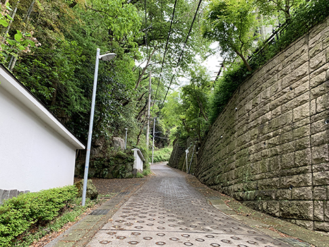 190427-1.jpg