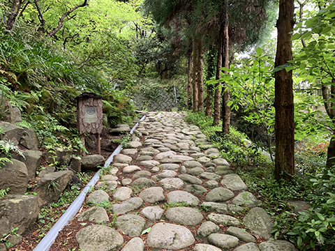190427-8.jpg