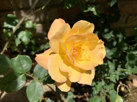 190527-1.jpg