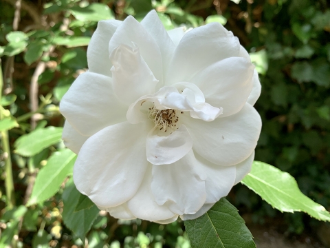 190527-2.jpg