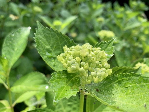 190527-3.jpg