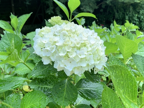 190527-6.jpg