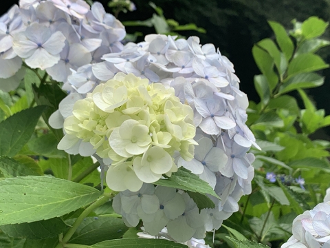 190622-4.jpg