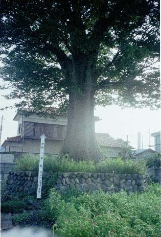 植木一里塚