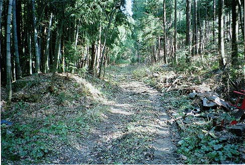 摺針峠旧道