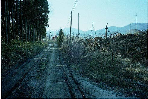 摺針峠旧道