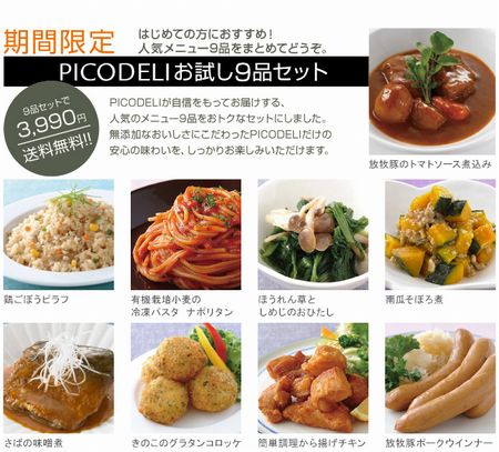 ピコデリ 9品セット