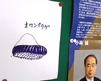 オワンクラゲ