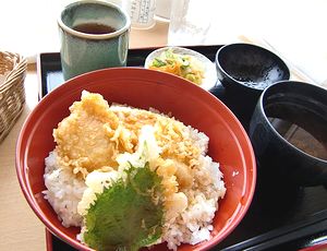 小5理科_作品2