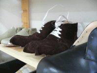 02100622.gif