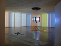 moma