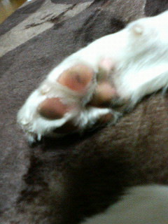 201112061630000.jpg