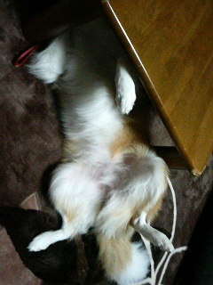 201112061628000.jpg
