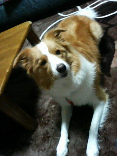 201112061627000.jpg