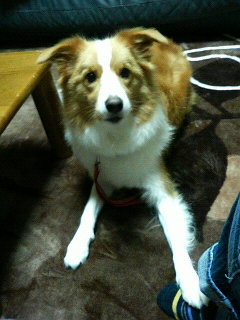 201112061624000.jpg