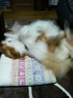 201112061621000.jpg