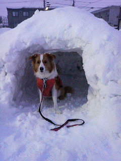 201112241632000.jpg