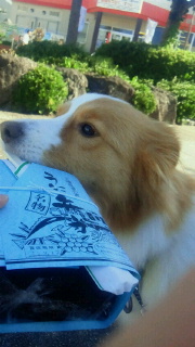 2013092614500000.jpg
