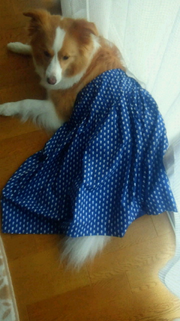 2014061608450000.jpg