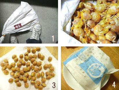 銀杏の果肉の取り除き方