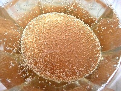酢で卵の殻を溶かす実験(夏休みの自由研究)