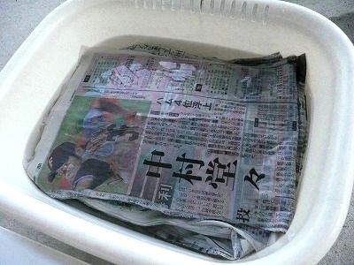 新聞紙を水にぬらしているところ